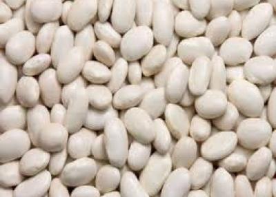 Jeanpierre Miami sac pois blanc