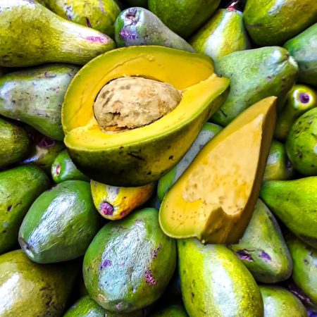 Maïtre Vital Chambellan avocat