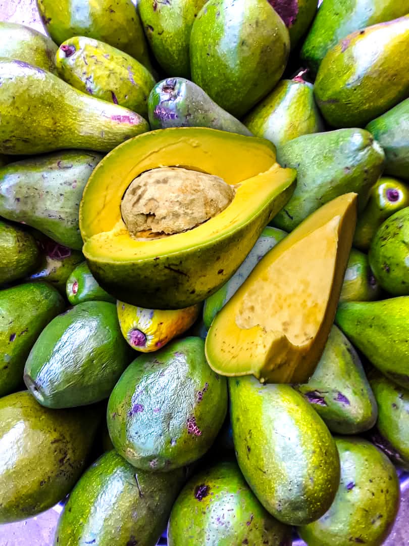 Maïtre Vital Chambellan avocat