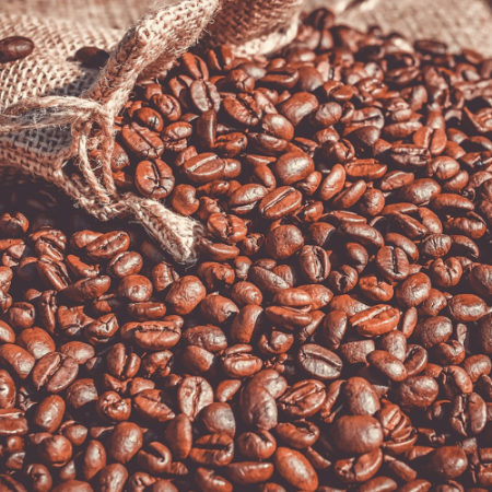 Lapaix Damis chambellan cacao