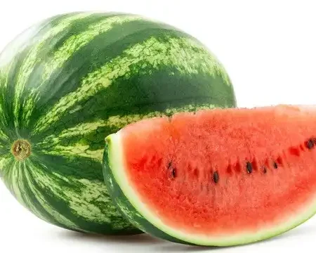 Adler fleurimond saintmarc melon